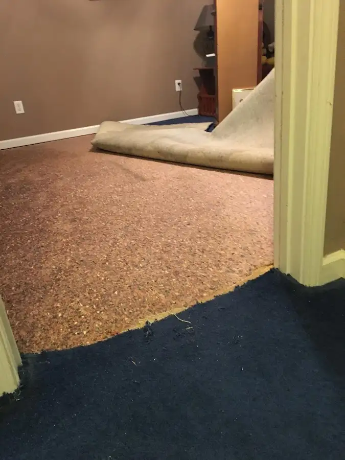 Carpet pad removal revealing water damage during Drying & Dehumidification in Overlea